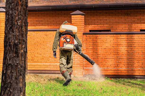 Top rated local Mosquito Control specialists in Timberlane, IL